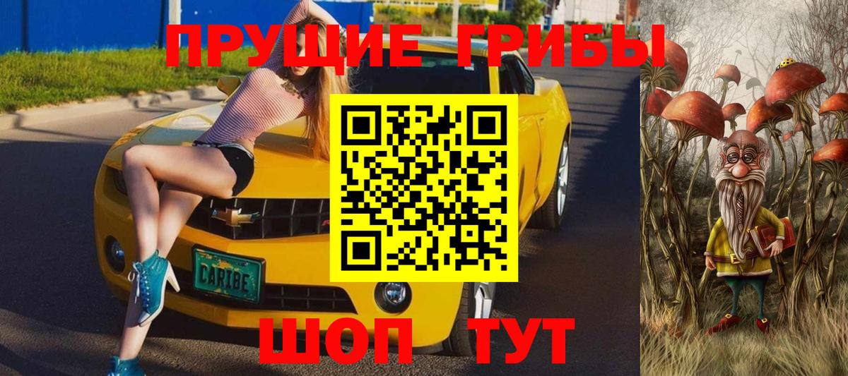 Галлюциногенные грибы GOLDEN TEACHER Топки